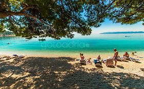 Beachfront Deluxe B&B